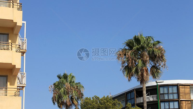 会议旅游策划书，打造高效会议体验的秘籍